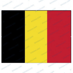 BANDERA BELGICA 30x 20cm