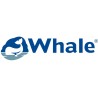 WHALE